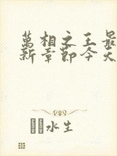 万相之王最新更新章节今天