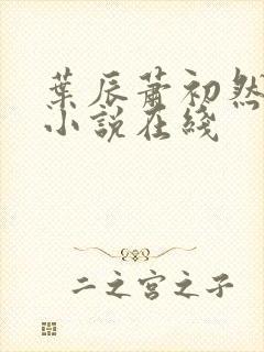 叶辰萧初然有声小说在线