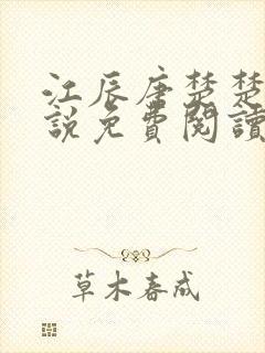 江辰唐楚楚的小说免费阅读笔趣阁