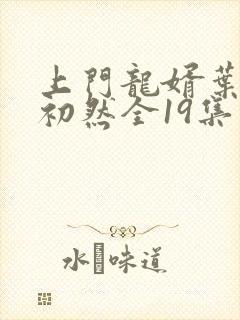 上门龙婿叶辰萧初然全19集正版