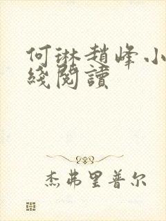 何琳赵峰小说在线阅读