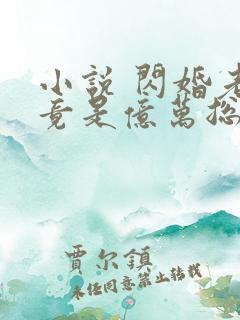 小说 闪婚老公竟是亿万总裁