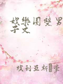 娱乐圈双男主生子文