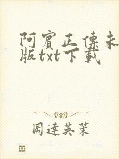 阿宾正传未删减版txt下载