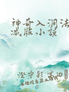 神奇入洞法无删减版小说