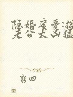 隐婚蜜爱:总裁老公太凶猛