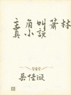 主角叫萧林的修真小说