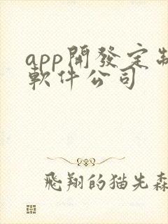 app开发定制软件公司