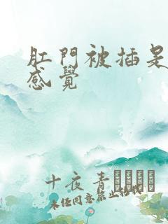 肛门被插是什么感觉