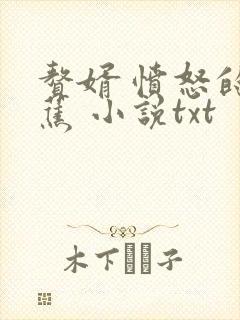 赘婿 愤怒的香蕉 小说txt