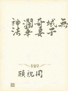 神澜奇域无双珠法华妻子