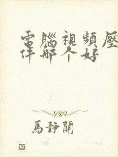 电脑视频压缩软件哪个好