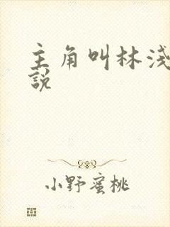 主角叫林浅的小说