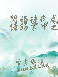 闪婚后我成了大佬的掌中之物短剧在线观看