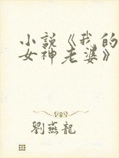 小说《我的绝美女神老婆》