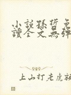 小说孙哲免费阅读全文无弹窗