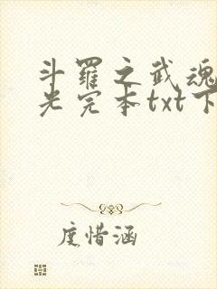 斗罗之武魂是绿光完本txt下载