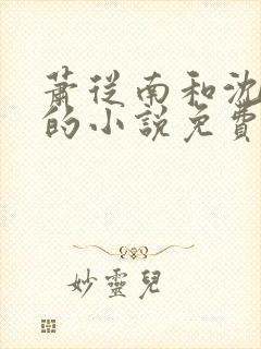 萧从南和沈梦清的小说免费阅读