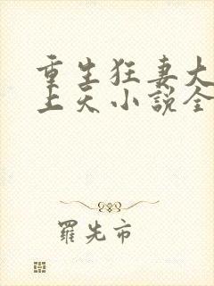 重生狂妻大佬宠上天小说全文阅读