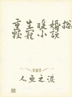 重生暖婚总裁轻轻宠小说