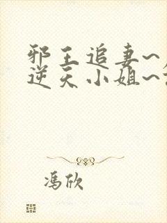 邪王追妻~废材逆天小姐~误惹妖孽王爷