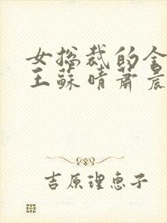 女总裁的全能兵王苏晴萧晨