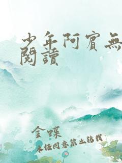 少年阿宾无删减阅读