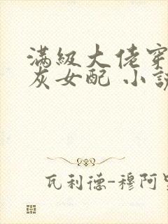 满级大佬穿成炮灰女配 小说