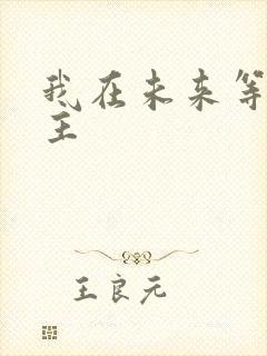 我在未来等你男主