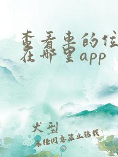 查看车的位置停在哪里app
