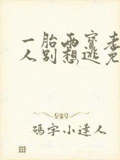 一胎两宝老婆大人别想逃免费阅读