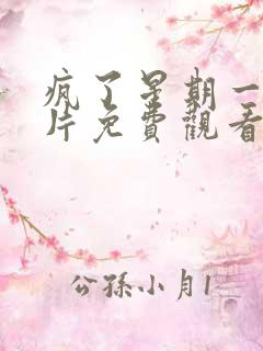 疯了星期一动画片免费观看