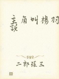 主角叫杨羽的小说