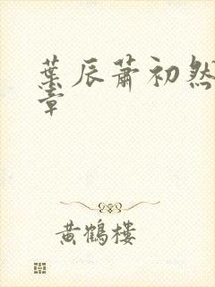 叶辰萧初然最快章