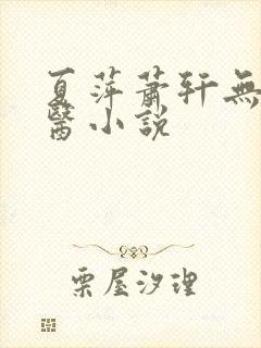 夏萍萧轩无敌神医小说