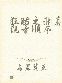 狂赌之渊真人版观看顺序