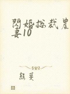 闪婚总裁农村甜妻10