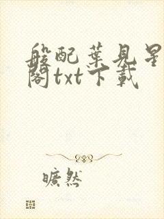 般配叶见星笔趣阁txt下载