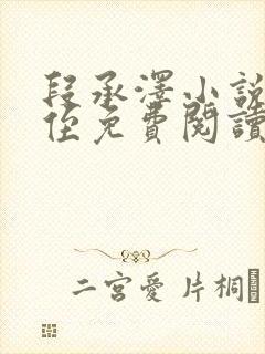 段承泽小说 叔侄免费阅读无弹窗