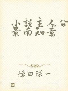 小说主人公帝释景南知意