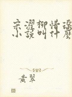 宋濯柳惜瑶原著小说叫什么名字