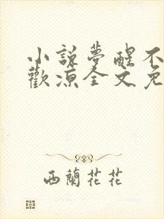 小说梦醒不知爱欢凉全文免费阅读