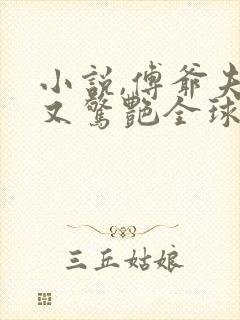 小说,傅爷夫人又惊艳全球了