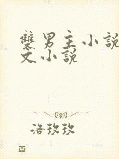 双男主小说高干文小说