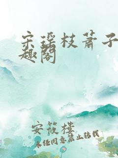 宋瑶枝萧子骞笔趣阁