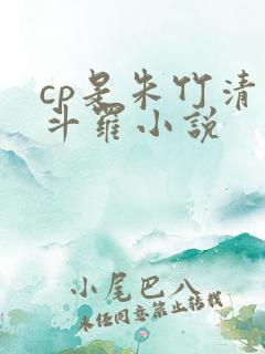 cp是朱竹清的斗罗小说