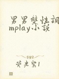 男男双性调教smplay小说