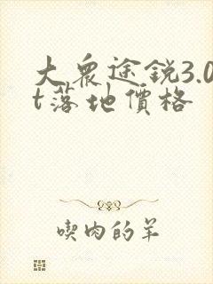大众途锐3.0t落地价格