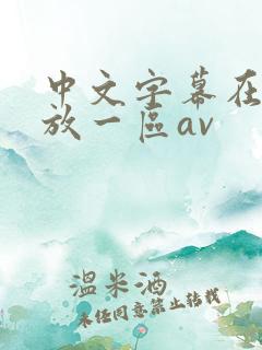 中文字幕在线播放一区av