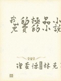 我的极品小姨全免费的小说